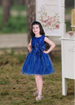Royal Blue Rosette Organza Sparkly Flower Girl Dress
